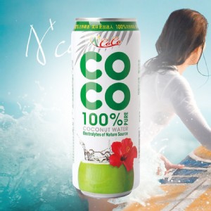 免運!【A+COCO椰活】100%椰子水(500ml) 500ml/罐 (24罐，每罐35元)