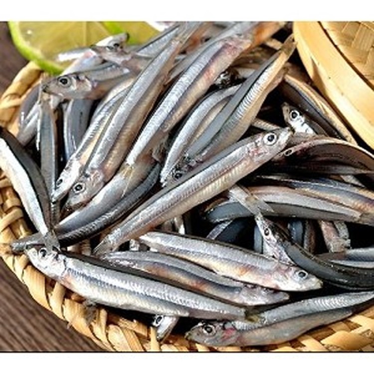 澎湖新鮮產地直送丁香魚