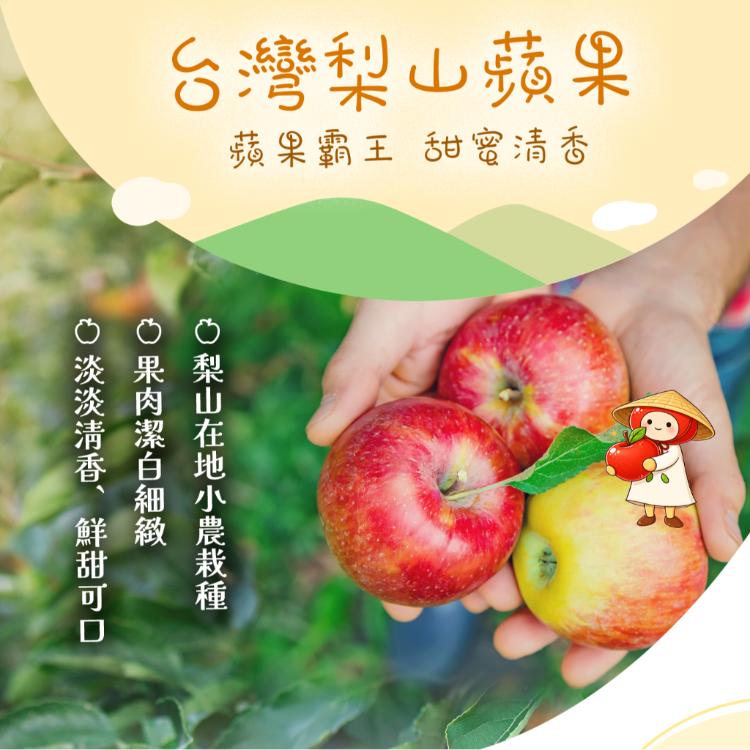【高端食品】蘋果泥益生菌果凍(962g)