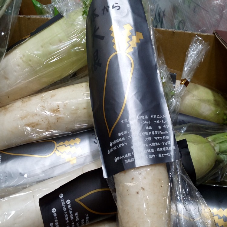 日本大根 (白蘿蔔)