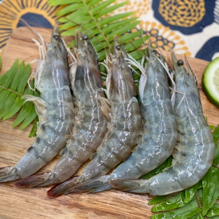 【海伯嚴選】嚴選鮮白蝦40/50規格