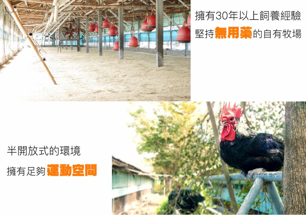 半開放式的環境,擁有足夠運動空間,擁有30年以上飼養經驗,堅持無用藥的自有牧場。