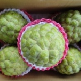 大目釋迦 傳統的好滋味，香Q軟甜、籽小，大大的挑逗你的味蕾。5粒裝5斤重，每單顆1斤以上。