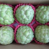 大目釋迦 傳統的好滋味，香Q軟甜、籽小，大大的挑逗你的味蕾。6粒裝5斤重，每單顆1斤以下12兩重以上。