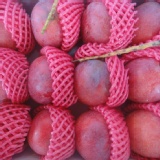 枋山愛文芒果 11-12粒入5斤裝 特價：$380