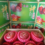 經濟裝 大黑珍珠蓮霧