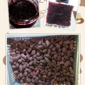 手工桑椹果醬 特價：$150