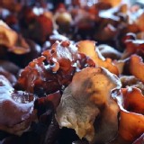 鹿窯木耳(1斤) 限量