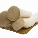 鹿窯杏鮑菇(1斤) 限量