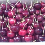 華盛頓空運西北櫻桃 9.5row