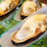 ㊣盅龐水產 ◇M號淡菜◇ 孔雀蛤