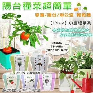 積木小農場輕鬆種盆栽，今日結帳再打85折！ 特價：$105