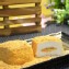 花生~膠原鮮奶涼糕(6入裝)