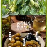 南投信義鄉の脆梅