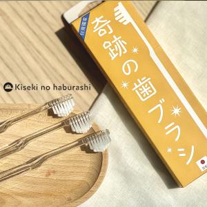 【日本KISEKI NO HABURASHI】奇蹟牙刷