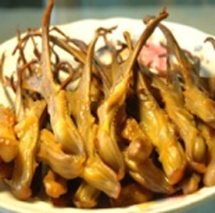 鴨舌