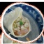 高麗菜鮮蝦豬肉