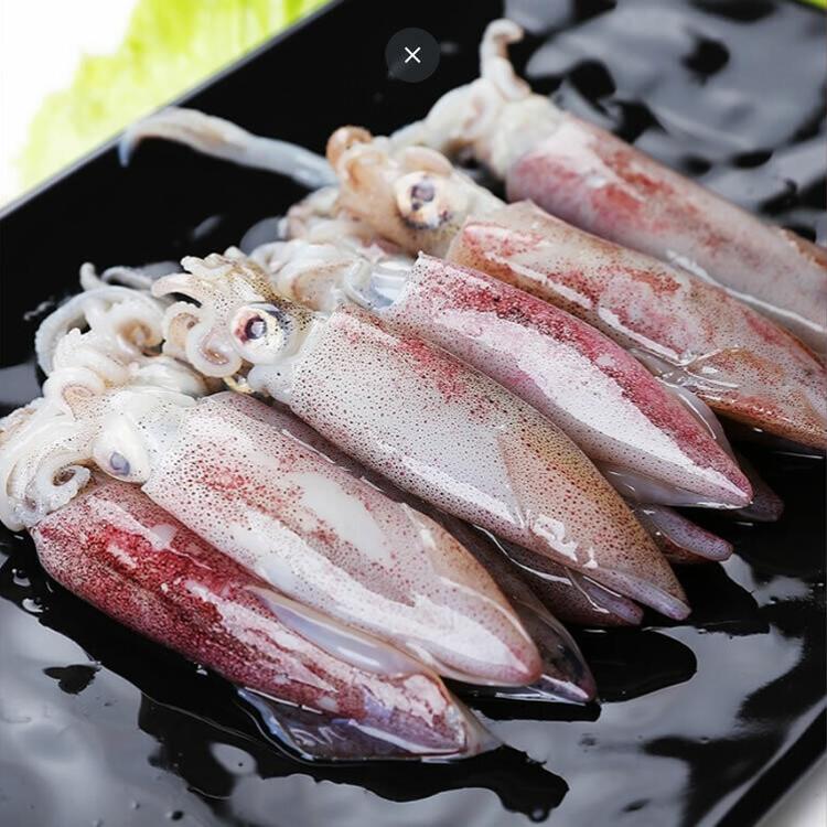 【八兩排】台灣野生鮮凍小卷-300G±15%(約5-7尾)/盒