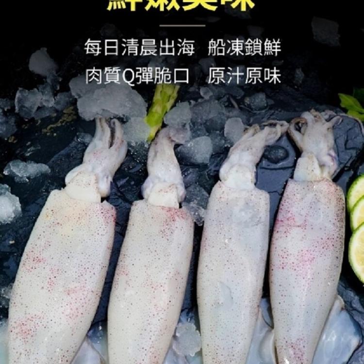 【八兩排】台灣野生鮮凍小卷-300G±15%(約5-7尾)/盒