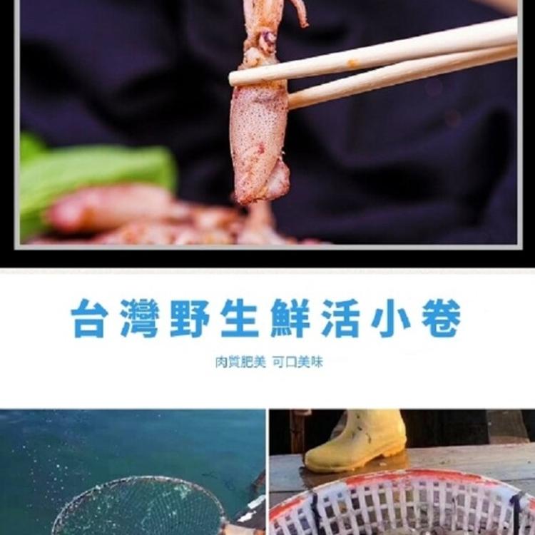 【八兩排】台灣野生鮮凍小卷-300G±15%(約5-7尾)/盒