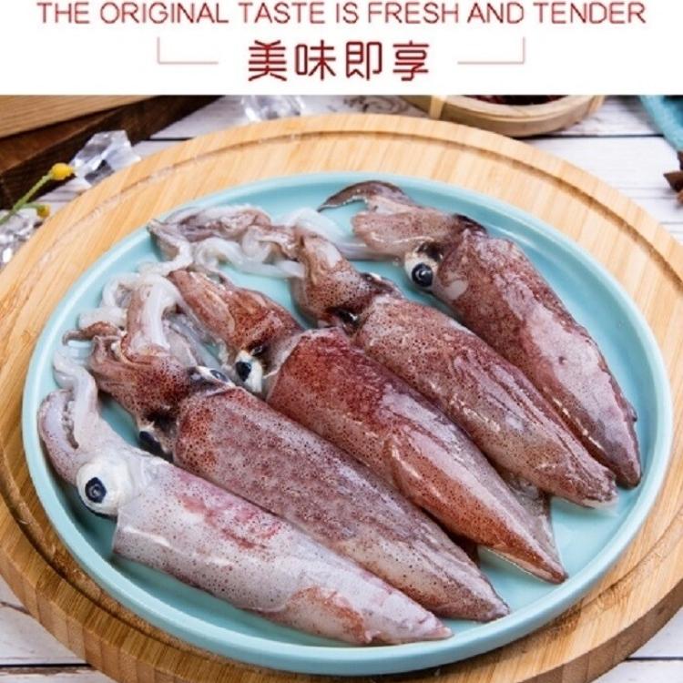 【八兩排】台灣野生鮮凍小卷-300G±15%(約5-7尾)/盒