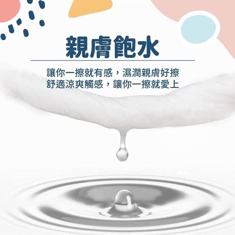 【寢室安居】掀蓋式100%純水加厚濕紙巾-12入組