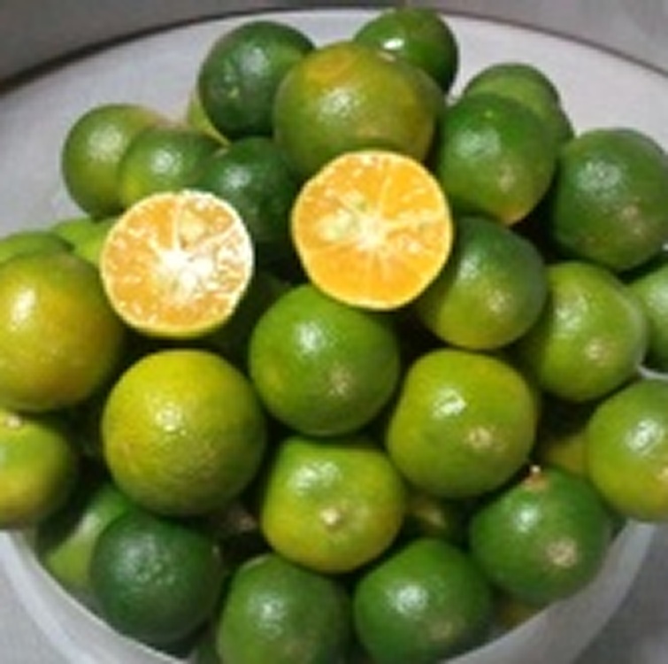 100%鮮榨金桔天然果汁