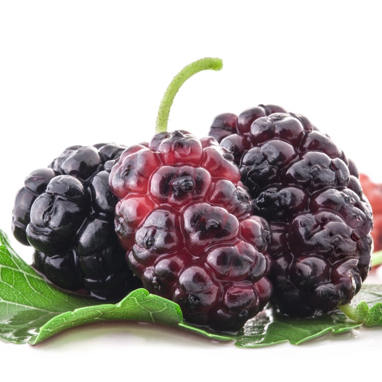 冰糖桑椹濃汁1KG搭1包桑椹蜜餞優惠組合