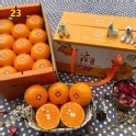 台豫茂谷柑優質禮盒 22入