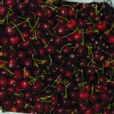 新鮮進口水果~美國空運華盛頓櫻桃 特價：$2400