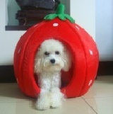 草莓造型寵物窩