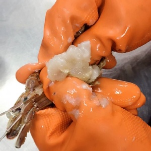 純蟹肉堡10顆入