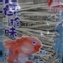 黑芝麻心絲
