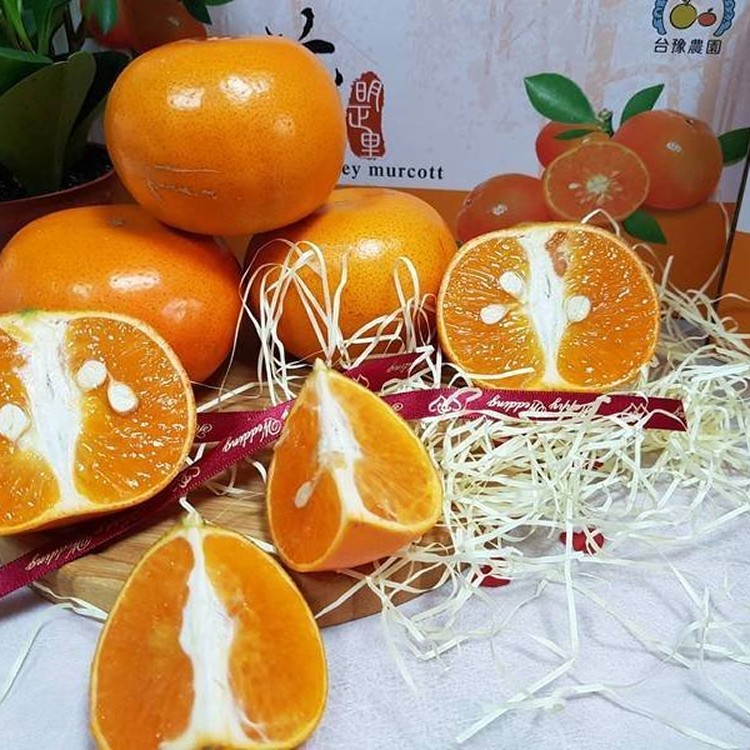 台豫茂谷柑優質禮盒 22入