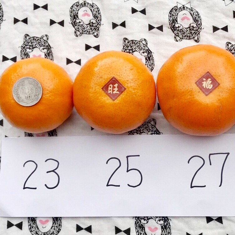 台豫茂谷柑特級禮盒 22入