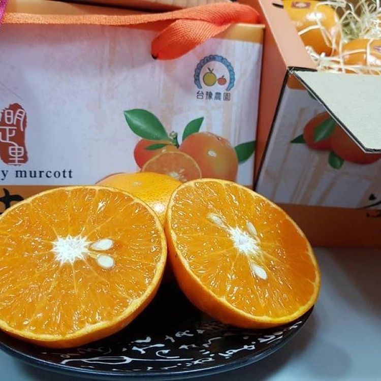 台豫茂谷柑優質禮盒 12入(加網套)