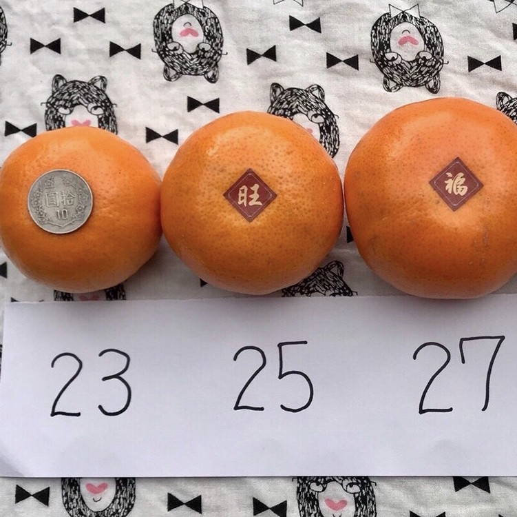 台豫茂谷柑優質禮盒 12入(加網套)