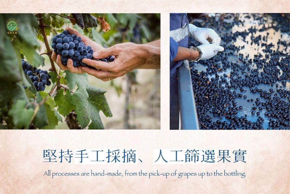 珍寶大廈，堅持手工採摘、人工篩選果實。