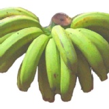 香蕉1箱3公斤200元