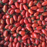 玉女蕃茄 特價：$450