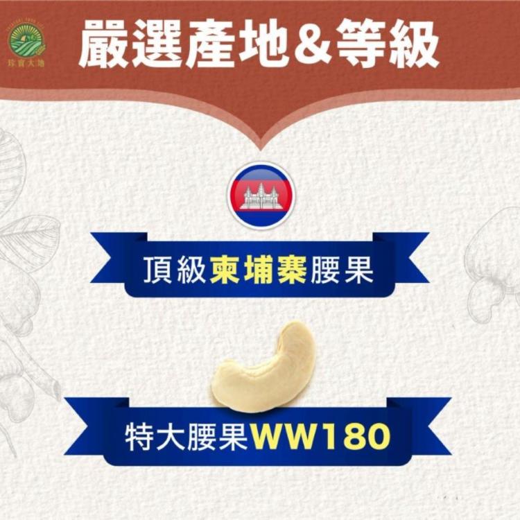 【珍實大地】珍實薄鹽帶皮腰果｜柬埔寨產M23腰果｜230g