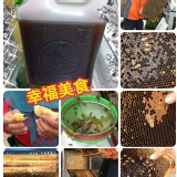 台南南化龍眼花蜜天然純正 特價：$700