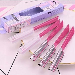 日本 KAI貝印 ，鐵柄修眉刀5入