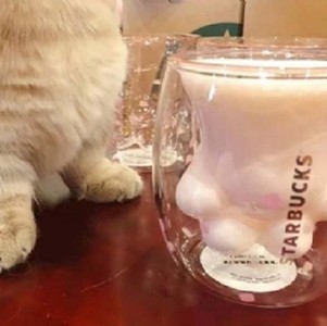 星巴克櫻花貓爪杯250ML