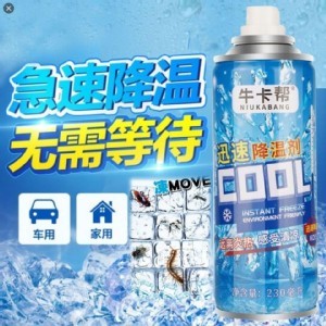 2in1急速冷凍噴霧+滅蟑螂害蟲噴霧260ml