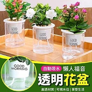 懶人福音自動吸水透明花盆(5個一組)
