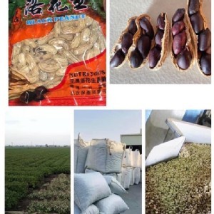 高品質黑金剛花生600g