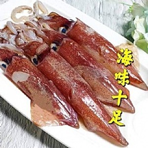 活凍野生船釣透抽300-330g±10%包(約4隻上下)