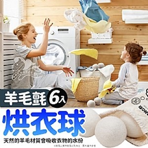 羊毛氈烘衣球-6入