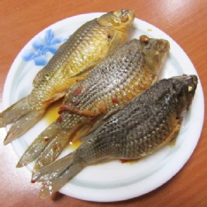 軟骨鯽魚 (三尾入)
